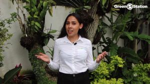 Conoce-las-preguntas-mas-frecuentes-sobre-Paneles-solares-GreenStation